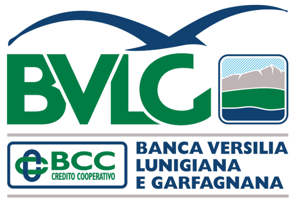 Banca Versilia Lunigiana e Garfagnana - Partner