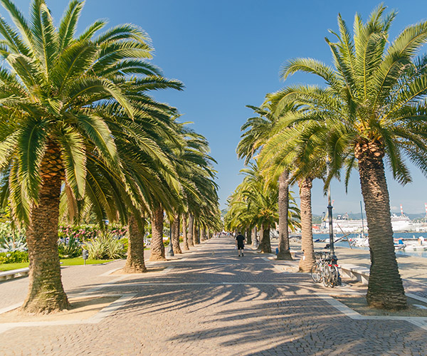 Photo of the long avenue with palm trees of Via del Molo in La Spezia