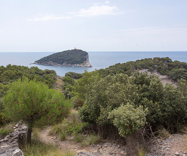 Photo of a path on the Palmaria Island with the Tino Island in the background