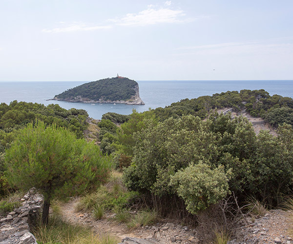 Photo d'un sentier sur l'île de Palmaria avec l'île de Tino en arrière-plan