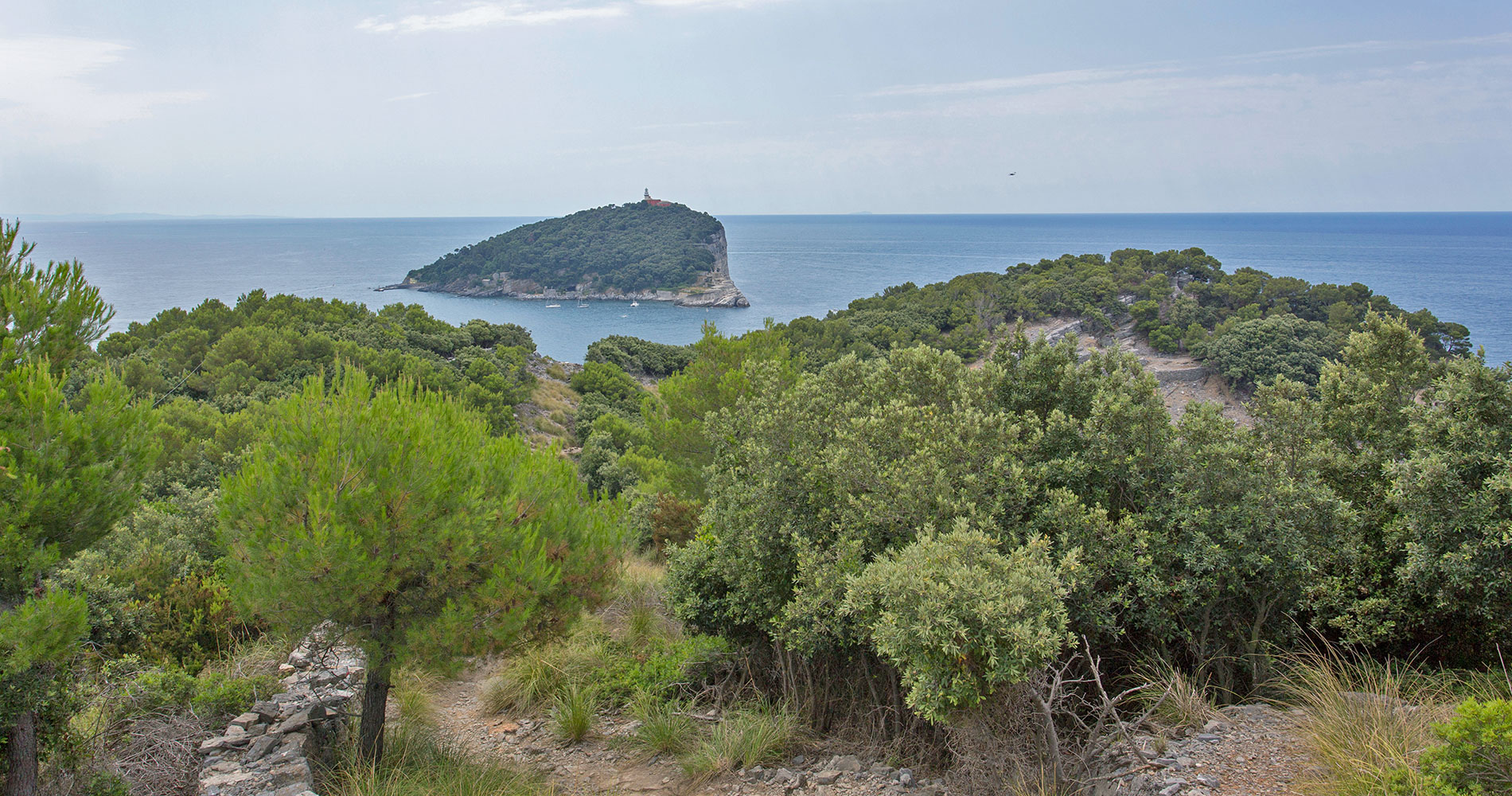 Photo of a path on the Palmaria Island with the Tino Island in the background